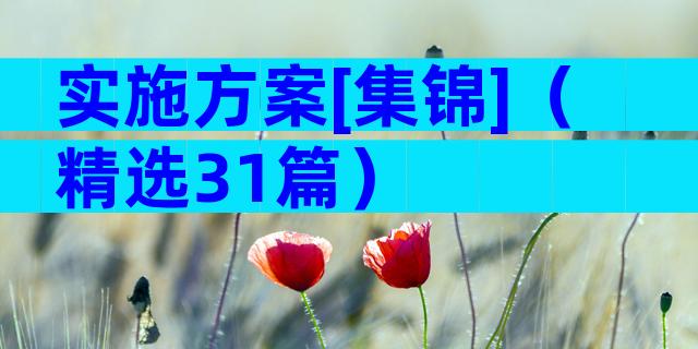 实施方案[集锦]（精选31篇）